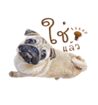 What The PUGs 2（個別スタンプ：22）