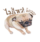 What The PUGs 2（個別スタンプ：38）