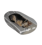 mix dog 1（個別スタンプ：2）