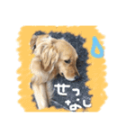 寛太（個別スタンプ：6）