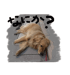 寛太（個別スタンプ：7）