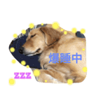 寛太（個別スタンプ：8）