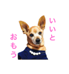 バロンくん（個別スタンプ：5）