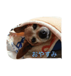 バロンくん（個別スタンプ：10）