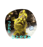 バロンくん（個別スタンプ：14）