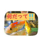 ミーたんの日常（個別スタンプ：3）