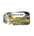 ミーたんの日常（個別スタンプ：4）