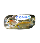 ミーたんの日常（個別スタンプ：8）