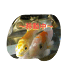 ミーたんの日常（個別スタンプ：10）