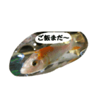 ミーたんの日常（個別スタンプ：14）