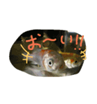 ミーたんの日常（個別スタンプ：15）