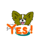 パピヨンバラエティパック（個別スタンプ：2）