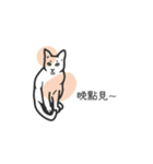 You're A Cat , Too（個別スタンプ：5）
