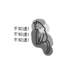 You're A Cat , Too（個別スタンプ：10）