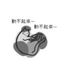 You're A Cat , Too（個別スタンプ：11）