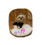 ビーちゃん！（個別スタンプ：7）