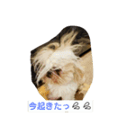 ビーちゃん！（個別スタンプ：10）