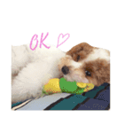 marulifespecial3（個別スタンプ：3）
