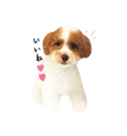 marulifespecial3（個別スタンプ：8）