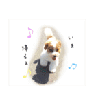 marulifespecial3（個別スタンプ：19）