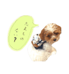 marulifespecial3（個別スタンプ：21）