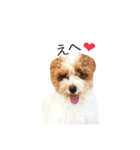 marulifespecial3（個別スタンプ：23）