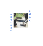 兄、まさおちゃん（個別スタンプ：6）