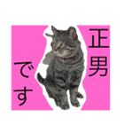 兄、まさおちゃん（個別スタンプ：9）