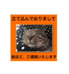 兄、まさおちゃん（個別スタンプ：12）