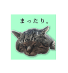 兄、まさおちゃん（個別スタンプ：13）