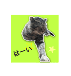 兄、まさおちゃん（個別スタンプ：14）