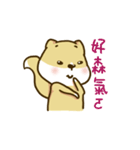 Confused Fox（個別スタンプ：11）