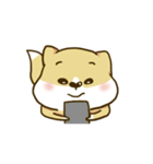 Confused Fox（個別スタンプ：14）