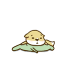 Confused Fox（個別スタンプ：15）