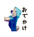 ビスケの日常（個別スタンプ：24）