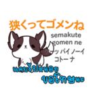 ごめんね犬日本語タイ語（個別スタンプ：3）