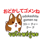 ごめんね犬日本語タイ語（個別スタンプ：19）