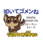 ごめんね犬日本語タイ語（個別スタンプ：20）