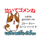 ごめんね犬日本語タイ語（個別スタンプ：24）