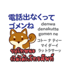 ごめんね犬日本語タイ語（個別スタンプ：31）