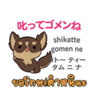 ごめんね犬日本語タイ語（個別スタンプ：40）