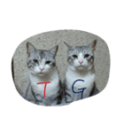 たまご(T)とごはん(G)（個別スタンプ：8）