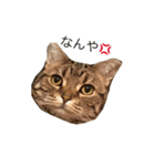 おはぎの日常（個別スタンプ：2）