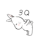 The daily life about big white rabbits（個別スタンプ：4）