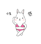 The daily life about big white rabbits（個別スタンプ：17）