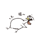 poker face chicken（個別スタンプ：1）