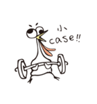 poker face chicken（個別スタンプ：8）