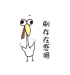 poker face chicken（個別スタンプ：31）