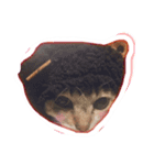 たくさんの猫たちと犬（個別スタンプ：4）