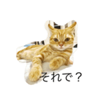 ねこす1（個別スタンプ：8）
